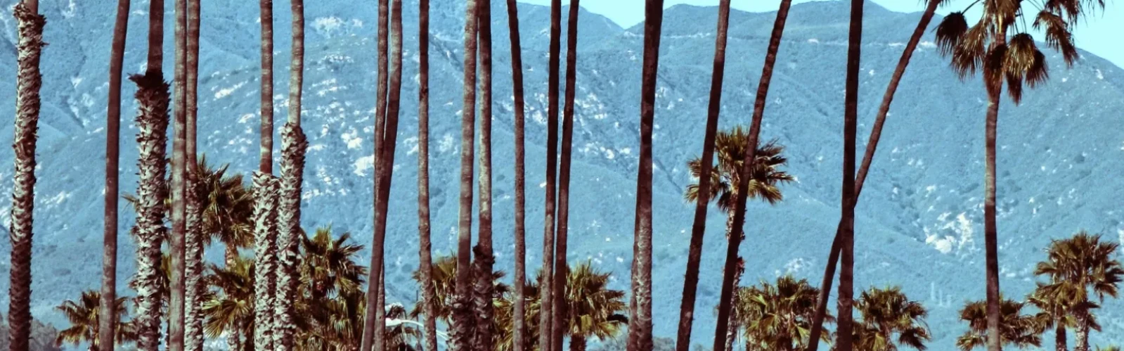 Santa Barbara Travel Guide: Famous Landmarks & Secret Spots