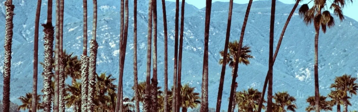 Santa Barbara Travel Guide: Famous Landmarks & Secret Spots